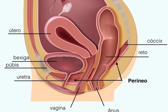Perineoplastia
